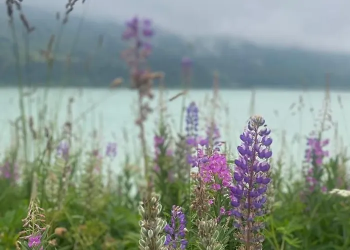 Haus Lydia Lägenhet *