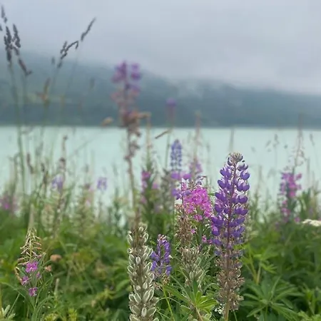 Haus Lydia Apartamento *